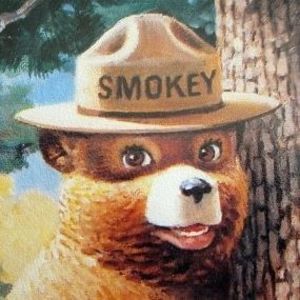 Meet your Posher, Sandy